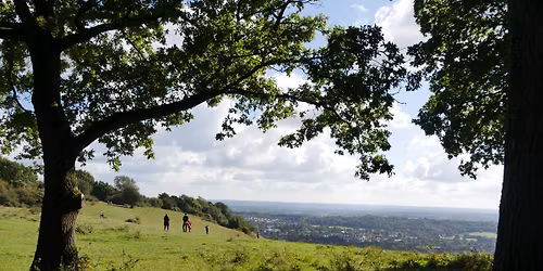 Discover the hidden quarrying heritage of the Surrey Hills