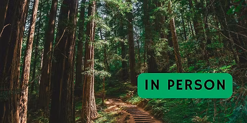 Agents of the Universal: Are You Fulfilling Your Life's Purpose?