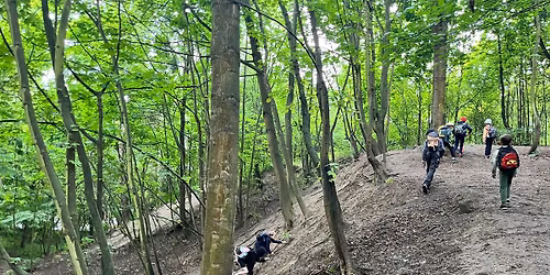 Le\u015bne P\u00f3\u0142kolonie z Nasz\u0105 Baz\u0105, sezon VI