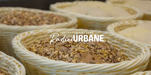 Bread is not a trend experience: dentro il pane di Radici Urbane