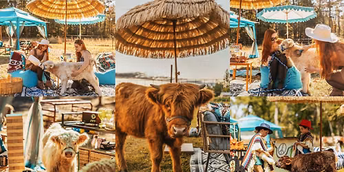 The Shaggy Cow Lounge & Cabanas w\/ Fluffy Highland Cows! | Middleburg, FL