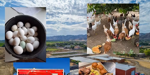 Farm to Table Breakfast