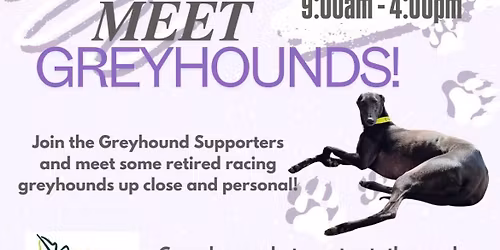 Meet & Greet at Robert Plante's 3rd Annual Pet Day and Holiday Market