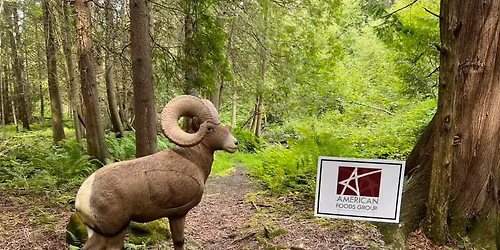 Kewaunee Trap & 3D Archery Club Annual Spring Archery Shoot