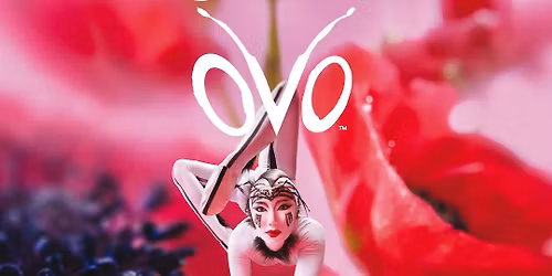 Cirque du Soleil \u2013 \u201eOVO\u201c pr\u00e4sentiert das gro\u00dfe Krabbeln!