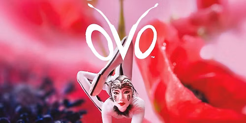 Cirque du Soleil \u2013 \u201eOVO\u201c pr\u00e4sentiert das gro\u00dfe Krabbeln!