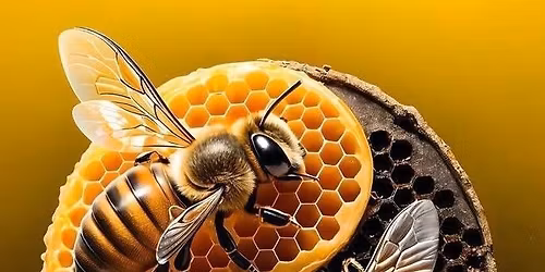 Monthly Beekeeping meeting 