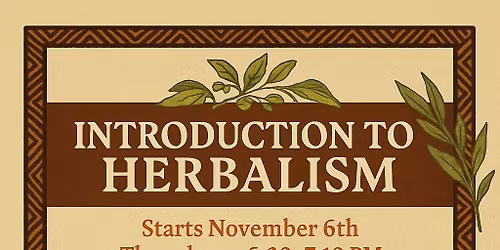 Introduction to Herbalism with Herbalist Rosie Warren