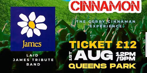 Festival in the Park