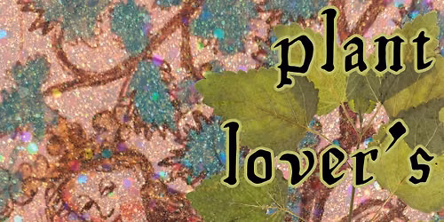 Plant Lovers' Meet-Up with Bloom Dew Herbs