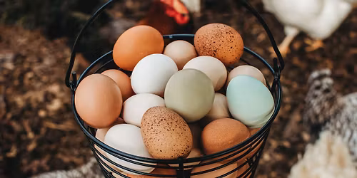 Farm Open Play and Market Day