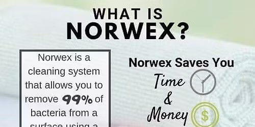 norwex party