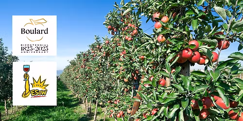From Orchard to Glass: Boulard Calvados Tasting