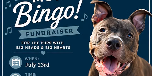 Music Bingo at Beverly's