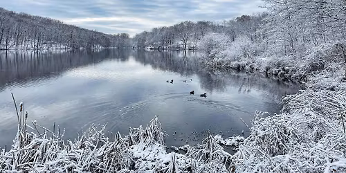 Hike with Mike: Vistas of Swan Lake