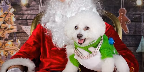 Photos with Santa at The Village Dog