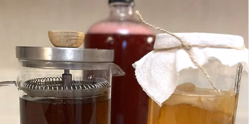Kombucha, Jun, & Lacto-Fermented Sodas