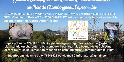 Journée Champignons au Boubier et à Chamborgneau