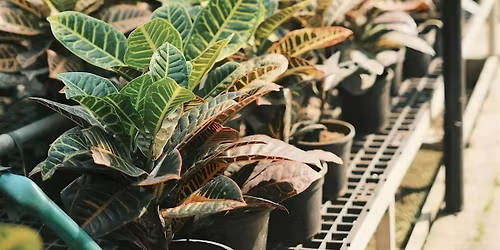 Woodland Tabletop Garden Workshop at Crook Hall Gardens, Durham