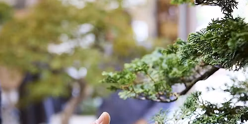 Bring Your Own Tree with Sergio Cuan Workshop