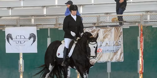 Camping in the Woods with Horses 