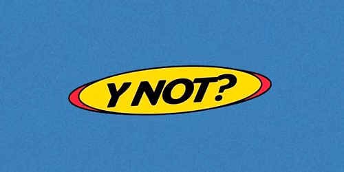 Y NOT?  a y2k christmas \ud83d\udcab