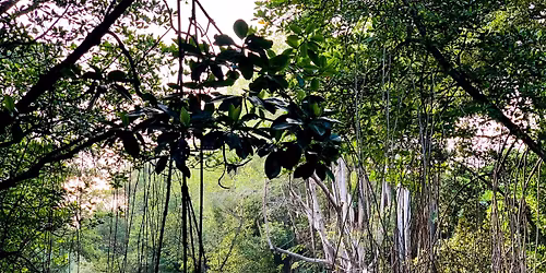 Khatib Bongsu River Trail (Upper)