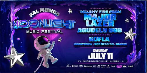 Moonlight Festival parking ticket