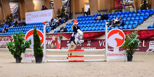 Kingsland Christmas Show Warm Up Pony
