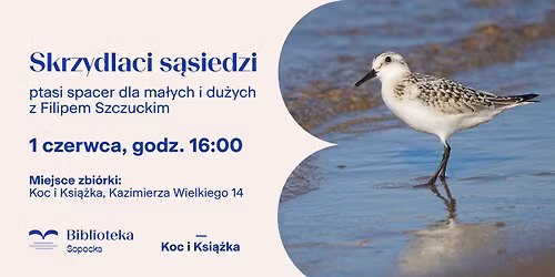 Skrzydlaci s\u0105siedzi. Ptasi spacer dla ma\u0142ych i du\u017cych z Filipem Szczuckim.