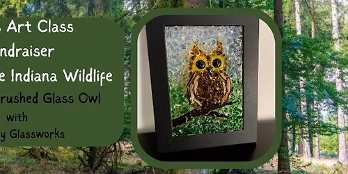Crushed Glass Owl FUNDRAISER for Humane Indiana Wildlife-THURSDAY 11\/20\/25- SO|D OUT