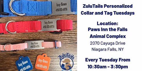 ZuluTails Tuesday: Tag & Gift Special \ud83d\udc3e