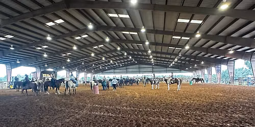 Cow Sorting with Couch Cowboys Cattle Co.