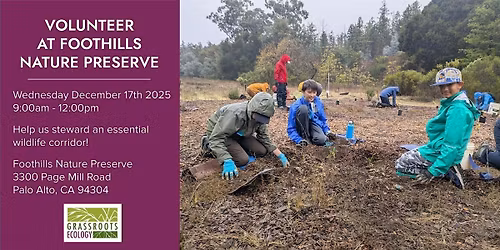 Volunteer Outdoors in Palo Alto at Foothills Nature Preserve