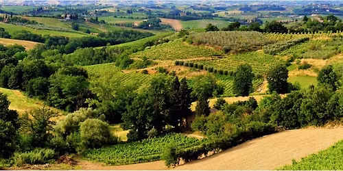 Spotlight on Tuscany