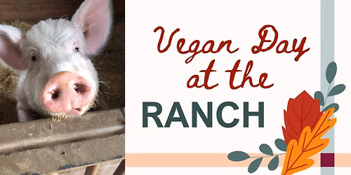 Vegan Day @ Randy's Rescue Ranch