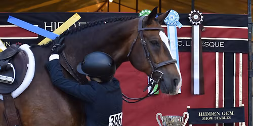 New England Charity Horse Show