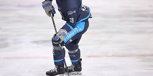 CEHL: EHC - L\u00fcttich Bulldogs