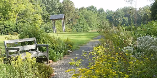 June Native Plant Walk at Ivy Creek