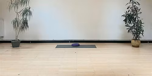 Shala Yoga Community Class