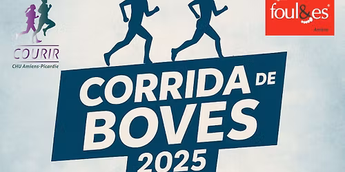 Corrida de Boves
