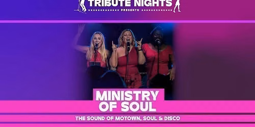 Soul & Motown Night - Ministry of Soul Band