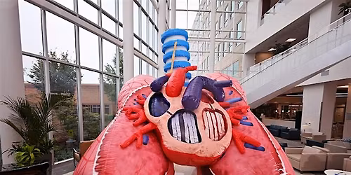 Love Your Lungs