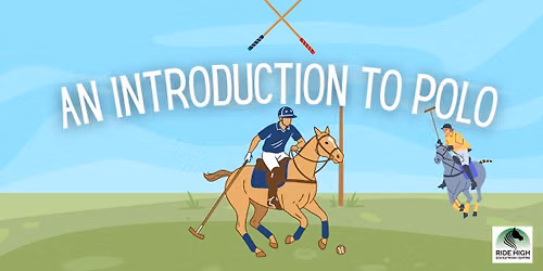 An Introduction to Polo