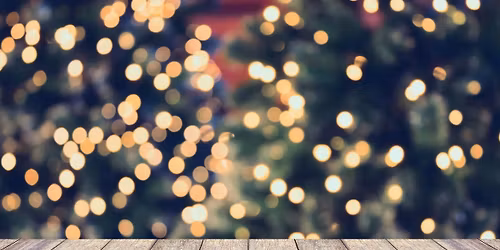 55+ Holiday Lights Bus Tour