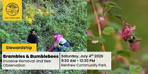 Brambles and Bumblebees | Invasive Removal & Bee Observation