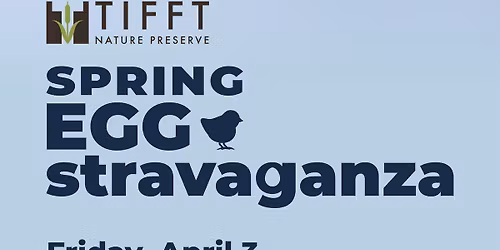 Spring EGG-stravaganza