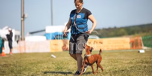 9. Fast'n Furious Winterturnierwochenende