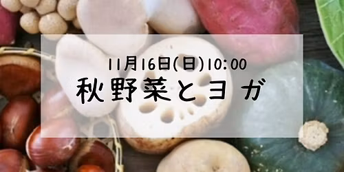 11\/16 \u79cb\u91ce\u83dc\u3068\u30e8\u30ac