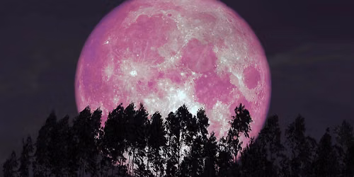 Sweet Sleep: Strawberry Full Moon Yoga Nidra